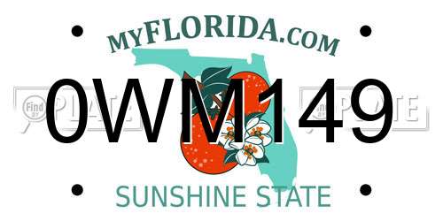 0WM149 Florida License Plate