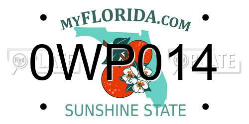 0WP014 Florida License Plate