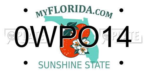 0WPO14 Florida License Plate