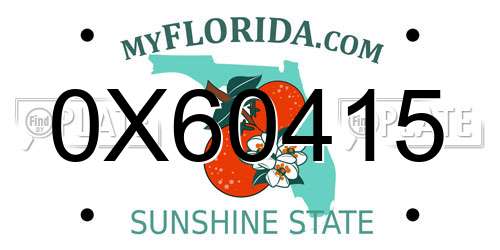 0X60415 Florida License Plate