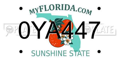 0YA447 Florida License Plate