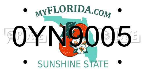 0YN9005 Florida License Plate
