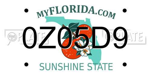 0Z05D9 Florida License Plate