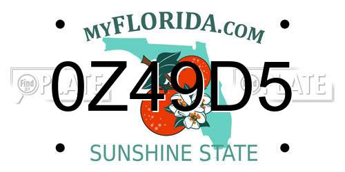0Z49D5 Florida License Plate