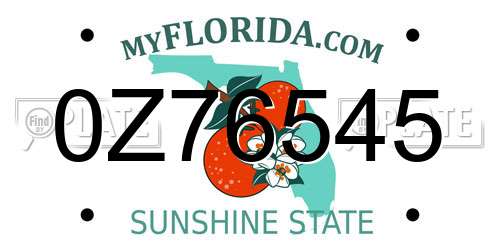 0Z76545 Florida License Plate