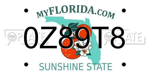 0Z89T8 Florida License Plate