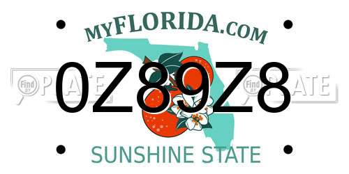 0Z89Z8 Florida License Plate