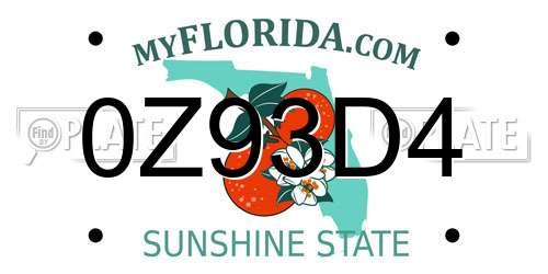 0Z93D4 Florida License Plate