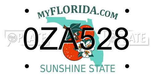 0ZA528 Florida License Plate