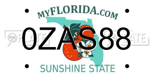 0ZAS88 Florida License Plate