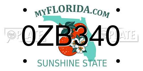 0ZB340 Florida License Plate