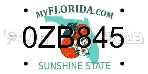 0ZB845 Florida License Plate