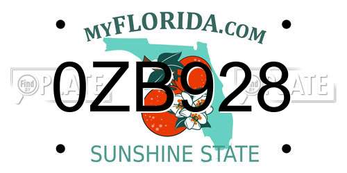 0ZB928 Florida License Plate