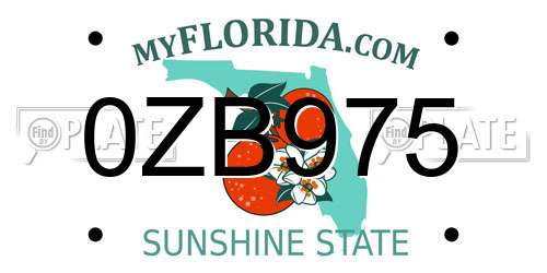 0ZB975 Florida License Plate