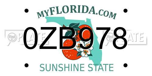 0ZB978 Florida License Plate