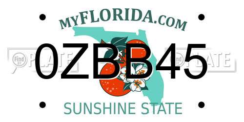 0ZBB45 Florida License Plate