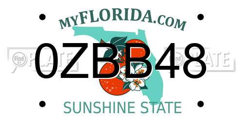 0ZBB48 Florida License Plate