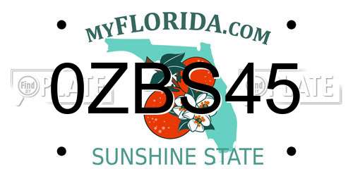 0ZBS45 Florida License Plate