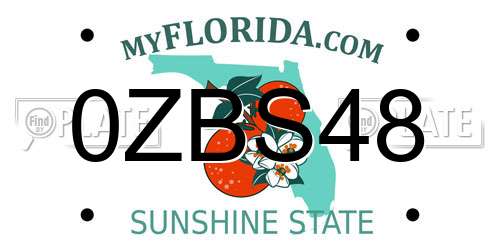 0ZBS48 Florida License Plate