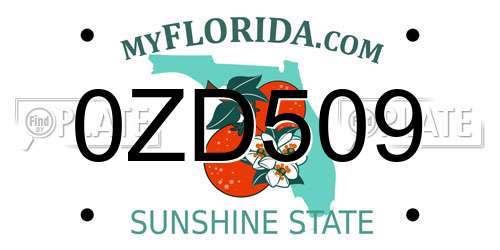 0ZD509 Florida License Plate