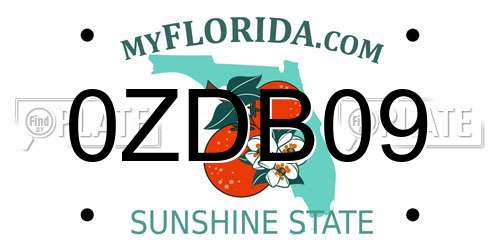 0ZDB09 Florida License Plate