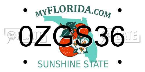 0ZGS36 Florida License Plate