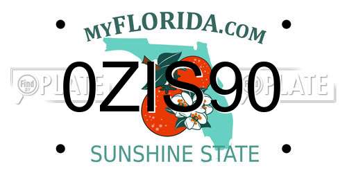 0ZIS90 Florida License Plate