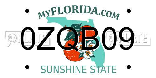 0ZQB09 Florida License Plate