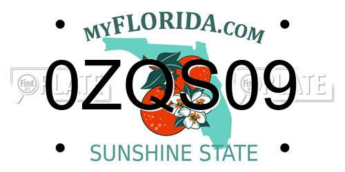 0ZQS09 Florida License Plate