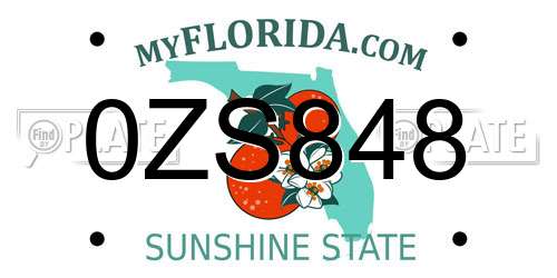 0ZS848 Florida License Plate