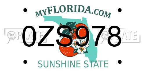0ZS978 Florida License Plate