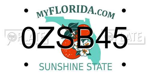 0ZSB45 Florida License Plate
