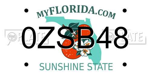 0ZSB48 Florida License Plate