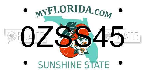 0ZSS45 Florida License Plate
