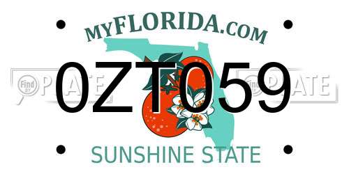 0ZT059 Florida License Plate