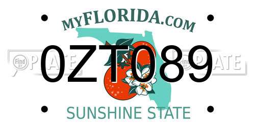 0ZT089 Florida License Plate