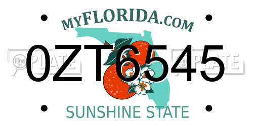 0ZT6545 Florida License Plate