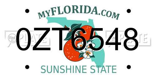 0ZT6548 Florida License Plate