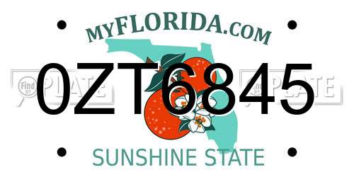 0ZT6845 Florida License Plate
