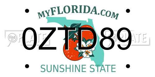 0ZTD89 Florida License Plate