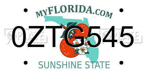 0ZTG545 Florida License Plate