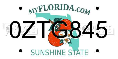 0ZTG845 Florida License Plate