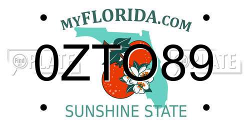 0ZTO89 Florida License Plate