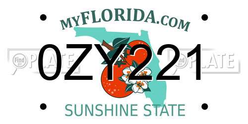 0ZY221 Florida License Plate