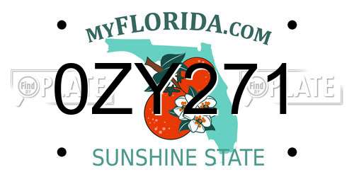 0ZY271 Florida License Plate