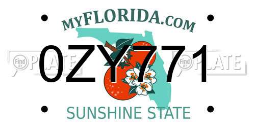 0ZY771 Florida License Plate