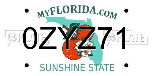 0ZYZ71 Florida License Plate