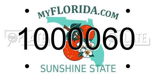 1000060 Florida License Plate