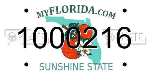1000216 Florida License Plate