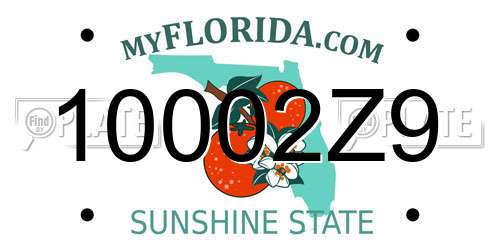 10002Z9 Florida License Plate